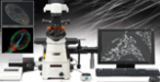 Открытый семинар "Микроскопы и системы визуализации для биомедицинских исследований"